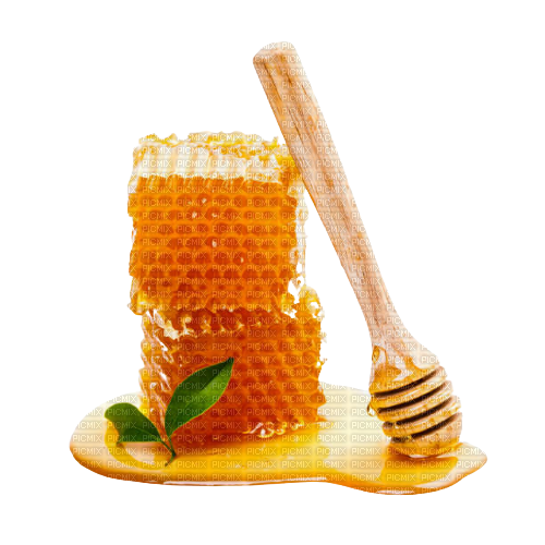 Honey - Bogusia - PNG gratuit