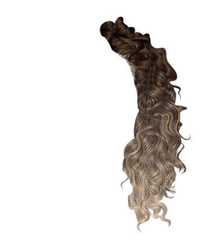 cheveux - darmowe png