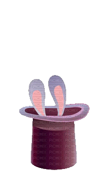 Bunny - GIF animé gratuit