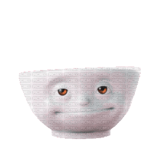 cup coffee - Darmowy animowany GIF