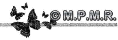 logo - Darmowy animowany GIF
