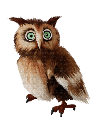 Kaz_Creations  Owl - PNG gratuit