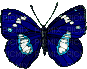 Kaz_Creations Deco Butterfly  Colours Animated - GIF animado grátis