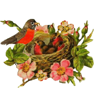 flower,bird,birdhouse - Zdarma animovaný GIF