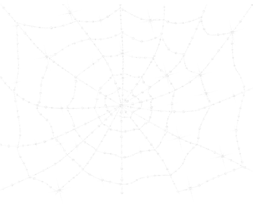spiderweb kikkapink white - png gratuito