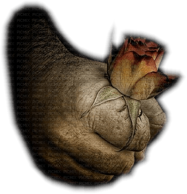 Kaz_Creations Hand Holding Flower - png gratuito