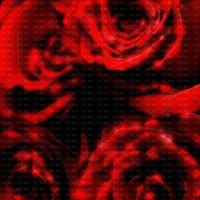 Roses Animated Background - Darmowy animowany GIF