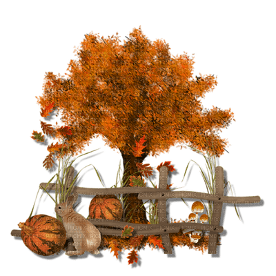 Kaz_Creations Halloween Deco Autumn - PNG gratuit