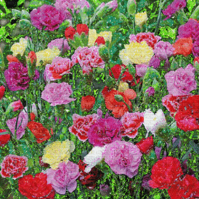 Glitter Carnation Flowers background gif - Gratis geanimeerde GIF