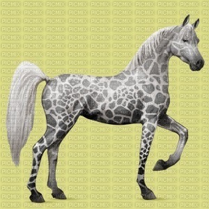 un cheval leopard - gratis png