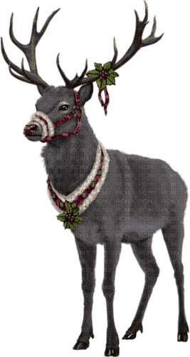 Reindeer Christmas Winter - Bogusia - ücretsiz png