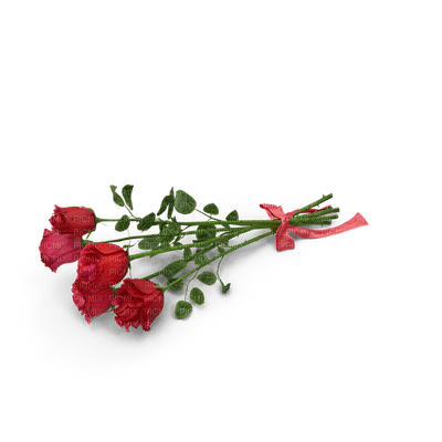 fleur flower kukka ruusu rose - png gratuito