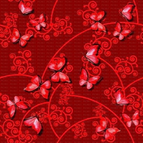 Vanessa Valo crea red background with butterfly - zadarmo png