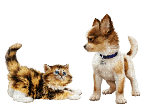Salomelinda chat et chien ! - ücretsiz png