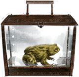 Kaz_Creations Toad Frog - zadarmo png