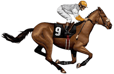 Horse Racing - PNG gratuit