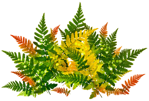 Leaves.Orange.Green.Yellow - безплатен png