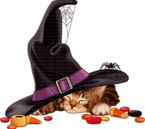 Halloween, Katze, Hut, Spinne - png gratuito
