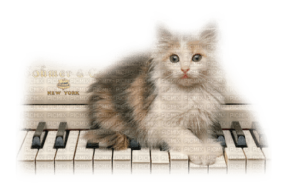 playing piano bp - 免费PNG