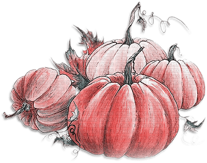 soave deco autumn pumpkin thanksgiving vintage - Free PNG