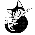 кошка - Безплатен анимиран GIF