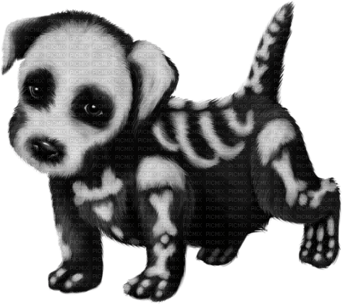 Dog Puppy Chien Halloween - png ฟรี