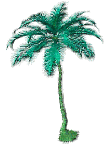 spinning palm tree - Бесплатный анимированный гифка