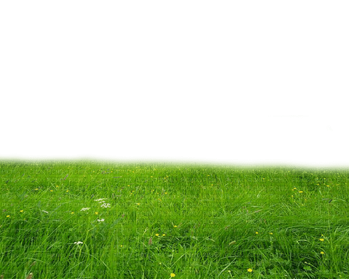 ✶ Grass {by Merishy} ✶ - 無料png