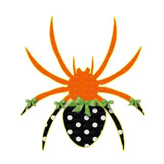 Araignée - darmowe png