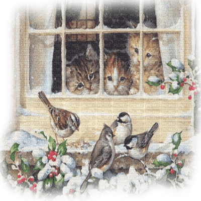 chat oiseaux hiver cats birds winter - PNG gratuit