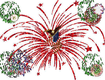 Fuoco d artificio - GIF animado gratis