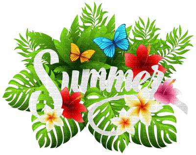 LOLY33 TEXTE SUMMER - png gratis