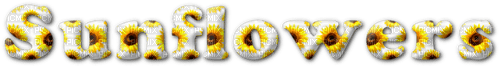 Sunflowers.Text.White.Yellow.Brown - gratis png