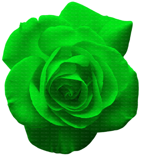 Rose.Green - Free PNG