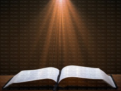 open Bible bp - бесплатно png