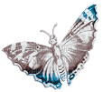 soave deco butterfly scrap blue brown - ilmainen png