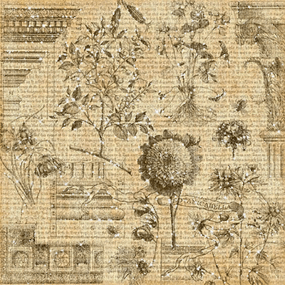 dolceluna vintage bg gif texture sepia - Безплатен анимиран GIF