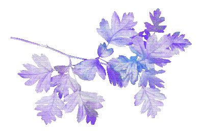 soave deco branch leaves animated autumn purple - Бесплатный анимированный гифка