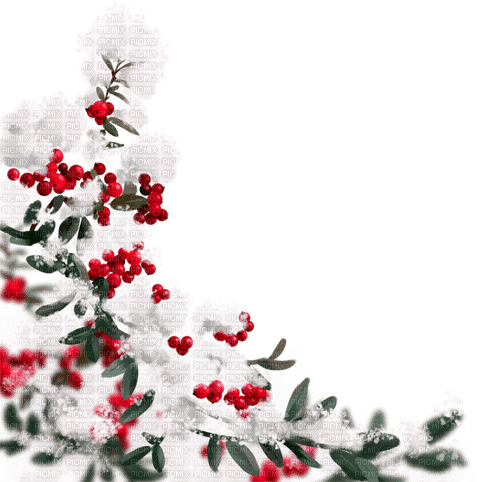Leaves.Branches.Berries.Snow.White.Green.Red - безплатен png