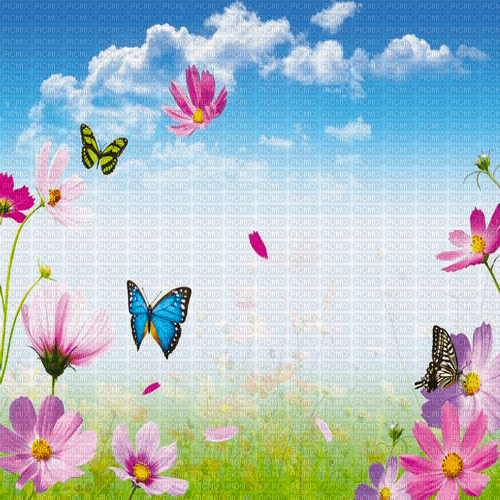 Y.A.M._Spring background - zdarma png
