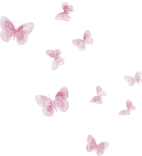 pink butterfly's - ücretsiz png