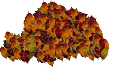 feuilles tas