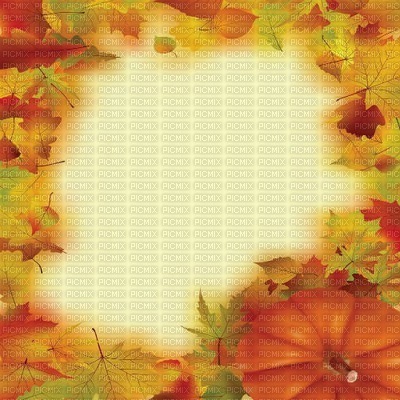 pumpkin citrouille kürbis   autumn automne herbst fond background hintergrund leaves laub feuilles  halloween - Free PNG