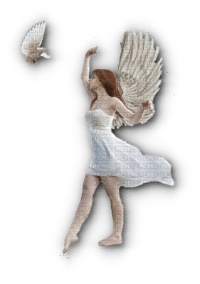 Angel with dove - besplatni png