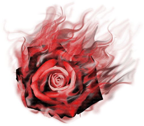 gothic red rose dark kikkapink - zdarma png
