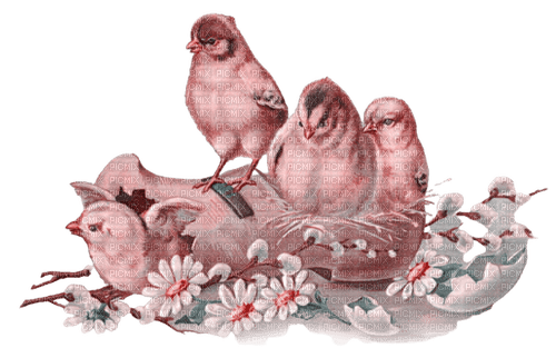 kikkapink easter bird deco vintage flowers spring - PNG gratuit