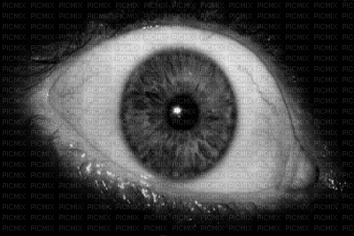 eye - Bezmaksas animēts GIF
