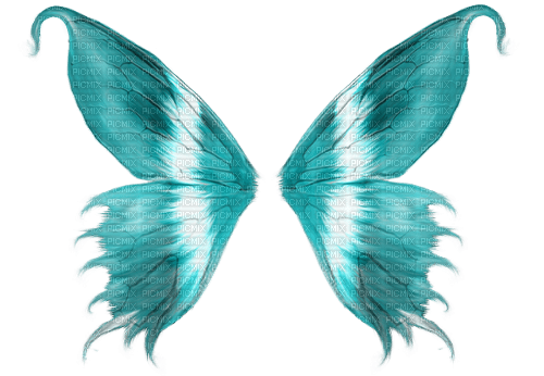 flügel wings - zadarmo png