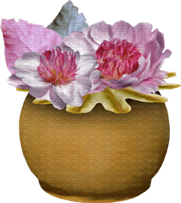 Kaz_Creations Deco Flowers Flower Colours Plant Vase - 免费PNG