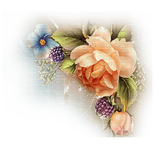 flores transparentes dubravka4 - PNG gratuit